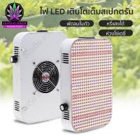 ราคา 220V Full Spectrum LED Grow Light 100W Samsung LM281B ไฟปลุกต้นไม้ ไฟช่วยต้นไม้ตัวเร็ว ไฟปลูกต้นไม้ หรี่แสงได้ (25479383895)