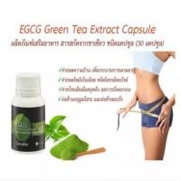ราคา EGCG Green Tea Extract Capsule อีจีซีจี สารสกัดจากชาเขียว 100แคปซูล (9289497012)