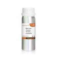 ราคา แอปโซลูทดอกบัวหลวงสีขาว Dilute 5% in Jojoba Oil 100ml (25583840752)