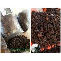 ราคา ดินผสมใบก้ามปู หมักร่อนหยาบ บรรจุ 1 kg. ดินใบก้ามปู (5254519505)