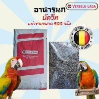 ราคา อาหารนก บัควีท Buckwheat ขนมนก อาหารนกแก้ว อาหารนกเลิฟเบิร์ด อาหารนกซันคอนัวร์ อาหารนกหงส์หยก เกรดนำเข้า (แบ่งขาย 500g.) (12502593127)