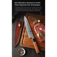 ราคา มีดเชฟ มีดเชฟญี่ปุ่น Japanese chef knife Xinzuo 8.2" Damascus 67-Layers VG10, Gyuto knife ด้ามไม้ทรง 8 เหลี่ยม+เขาควาย (21776944975)