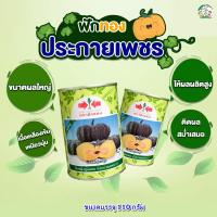ราคา เมล็ดฟักทอง ประกายเพชร ขนาด1,000เมล็ด (110กรัม) ตราศรแดง เมล็ดพันธุ์ฟักทอง ฟักทอง ศรแดง (3358986268)