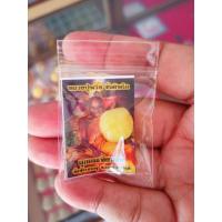 ราคา ลูกอมเทียนชัยหลวงปู่พริ้ง ันติพโล (19115269243)