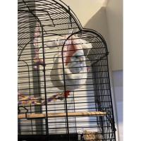 ราคา ถุงนอนนกฟอพัส forpus (22011208004)