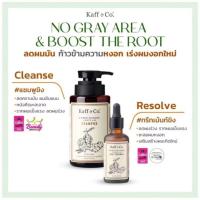 ราคา Kaff & Co. หนังศีรษะแห้ง มัน ผมร่วง คัน มีรังแค Lime Essential Oil / Ginger Rhizome & Kaffir Lime Shampoo (40822221557)