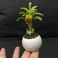 ราคา ต้นกล้วยดินปั้น ต้นกล้วยดินไทย ต้นกล้วยจิ๋ว ขนาด 3 นิ้ว (7834622692)