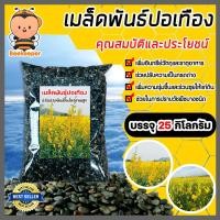ราคา เมล็ดพันธุ์ปอเทือง บรรจุ 25กิโลกรัม เมล็ดปอเทือง พันธุ์ปอเทือง เม็ดพันธุ์ปอเทือง ดอกปอเทือง เม็ดปอเทือง ต้นปอเทือง (26715470315)