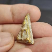 ราคา พระนางพญาเนื้อชินทอง กรุดอยไซ (43666105227)