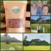 ราคา ข้าวสังข์หยดอินทรีย์ ข้าวกำนัน (7723350132)