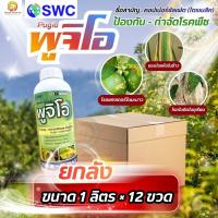 ราคา (ยกลัง1L*12) #พูจิโอ คอปเปอร์ซัลเฟต(ไตรเบสิค) ขนาด 1 ลิตร ไตรเบสิคคอปเปอร์ซัลเฟต โรคแคงเกอร์ โรคใบจุด โรคใบไหม (43978468169)
