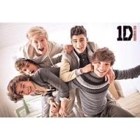 ราคา โปสเตอร์ รูปถ่าย วง ดนตรี บอยแบนด์ One Direction (2016) POSTER 24"x35" Inch English Pop Rock Boy Band Teen Pop Rock V3 (2022596630)