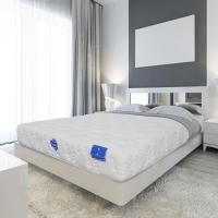 ราคา SB Design Square ที่นอน SYNDA รุ่น Back Comfort ขนาด 5 ฟุต แถมฟรี!ชุดเครื่องนอน 11 ชิ้น (43572729449)