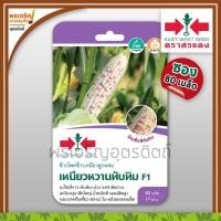 ราคา เมล็ดพันธุ์ ข้าวโพดข้าวเหนียว เหนียวหวานทับทิม F1 (แบบซอง) เมล็ดข้าวโพดหวาน ข้าวโพดสามสี เมล็ดพันธุ์ผักสวนครัว ตราศรแดง (22069232629)
