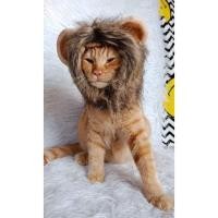 ราคา หัวสิงโตน้องแมวน้องหมา (11826562317)