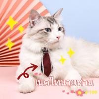 ราคา ปลอกคอแมว หมา ปลอกคอสัตว์เลี้ยง เนคไทแมว ปลอกคอนิรภัยติดเนคไท น่ารัก สำหรับแมวหรือสุนัขขนาดเล็ก (22400928564)