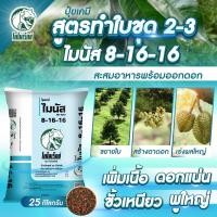 ราคา ปุ๋ยทำใบชุด 2-3 บำรุงใบ ขยายขนาดใบ ทุเรียน สูตรเร่งการสะสมอาหารเพื่อเตรียมออกดอก ปุ๋ยเคมี ไมนัส 8-16-16 ขนาด 25 กก. (42664478927)