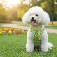 ราคา เชือกกันลื่นสําหรับสุนัขพันธุ์เล็ก เช่น ปอมเมอเรเนียนแบร์ เพื่อความปลอดภัยรุ่นใหม่ (57800195959)