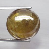 ราคา พลอย หลังเบี้ย สฟีน ธรรมชาติ แท้ ดิบ ( Unheated Natural Sphene Titanite ) หนัก 15.71 กะรัต (43923124235)