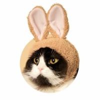 ราคา กาชาปองหูกระต่ายจาก Japan (154795922)