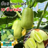 ราคา ซื้อ 5 แถม 5 ฟรี แตงกวาลูกดก 10 เมล็ด เมล็ดพันธุ์แตงกวาลูกดก งอกง่าย โตไว ผลดกมากก ผลแตงกวาสด แตงกวาไร้หนาม (43820404357)