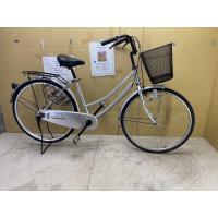 ราคา มาใหม่ๆสวยๆ จักรยานญี่ปุ่นยี่ห้อ CAROL PASTEL (28991089404)