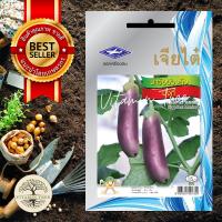 ราคา เมล็ดพันธุ์ มะเขือม่วงลิง มังกี้ 0.5กรัม (4551414618)