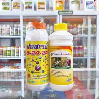 ราคา (ชุด 2 ขวด) ปุ๋ยน้ำ ฟอสเวย์ 8-24-24 ขนาด1 ลิตร ส่งเสริมการออกดอก + นูบา-สเปรย์ แคลเซียมโบรอน ขนาด 1 ลิตร เพิ่มการผสมเกสร (19087113706)