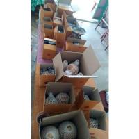 ราคา มะพร้าวกะทิ ทับสะแก คัดพิเศษ รับประกันคุณภาพ ไม่กะทิเครมฟรี สินค้าจัดส่งทุกวัน (5742659121)