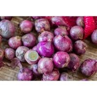 ราคา หอมแขก หัวใหญ่ แห้ง สด แข็งทุกลูก คัดพิเศษ Onion หอมแดงแขก หอมยำ บรรจุ 500-1000กรัม (25453935691)