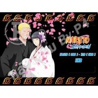 ราคา DVD การ์ตูนเรื่อง Naruto Shippuden นารูโตะ ตำนานวายุสลาตัน Set 25 - 41จบ (เสียงญี่ปุ่น-บรรยายไทย) อ่านรายละเอียดก่อนสั่ง (9502130466)