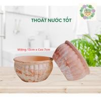 ราคา กระถางฟักทองแคระหลากสีทําจากวัสดุดินเผาระบายน้ําที่ดีสําหรับการเติบโตน้ําค้างมังกร ฉ่ํา และพืชโต๊ะอื่น ๆ (40663496160)