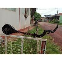 ราคา พิณโปร่งไฟฟ้า ส่งฟรี แถมกระเป๋า สายสะพาย คู่มือ ปิ๊ก สายแจ็ค (5549155055)