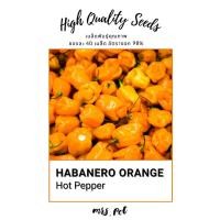 ราคา เมล็ดพริกที่เผ็ดที่สุดในโลก Habanero Orange Hot Pepper รหัส066 (21131549228)