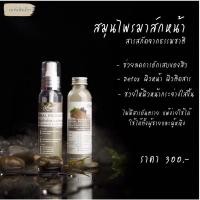 ราคา สมุนไพรมาร์คหน้าห้อยศรี (8064216321)