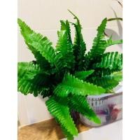 ราคา งานเฟิร์นต้น เสมือนจริง ( ต้นใบเฟรินบอสตัน ต้นใหญ่ ตกแต่ง แซม 1ช่อใหญ่ๆๆ สวยมากได้เยอะ ) งานผ้าเคลือบ ก้านดัดได้ ทนแดดฝน (27570736571)