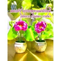 ราคา ดอกบัวถวายพระแม่ลักษมี ดอกบัวดิน ดอกบัวดินปั้น แจกัน ดอกบัวดินปั้น ❌ ราคาต่ออัน❌ (24519865522)
