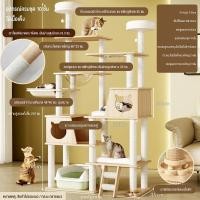 ราคา ไม้แมวคอนโดแมว สูง215CM ไม้สวยไร้เหลี่ยมคม คอนโดแมวไม้ condoแมว คอนโดต้นไม้แมว คอนโดแมวไม้จริง ที่นอนแมว เสาลับเล็บ (43275488837)