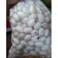 ราคา ลูกอมไข่ไดโนเสาร์ (ลูกอมไข่นก) น้ำหนัก 1 กิโลกรัม (24300484900)