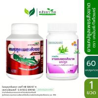 ราคา PET SUNG KART เพชรสังฆาต ตรา KMP แก้วมังกรเภสัช / ไฟโตแคร์ / ธันยพรสมุนไพร ชนิดแคปซูล (41811552478)