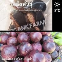ราคา เมล็ดพันธุ์ต้นแอปเปิ้ลสตาร์ แอปเปิ้ลน้ำนม 1ถุงมี 30 เมล็ด ต้นแอปเปิ้ลเมือง เมล็ดพันธุ์ผัก (9944651309)