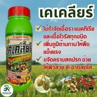 ราคา เคเคลียร์ ขนาด 1 ลิตร สารเสริมประสิทธิภาพ สารกำจัดเชื้อรา รากเน่า แอนแทรคโนส ไฟทอปธอร่า (28792792869)
