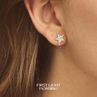 ราคา Rock Star Earrings ต่างหูดาว Swarovski Elements (28668554685)