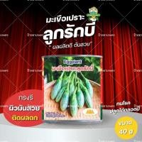 ราคา เมล็ดมะเขือเปราะ ลูกรักบี้ 40กรัม ตราภูเขาทอง เมล็ดพันธุ์ มะเขือลายขาว มะเขือทรงรี (54303015077)