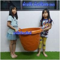 ราคา กระถางต้นไม้ อ่างมังกรปลูกดอกบัวขนาดใหญ่ อ่างบัวพลาสติก (7883050507)