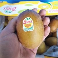 ราคา กีวี่ทอง KIWI Zespri SunGold (1ลูก) (CHN/NZL/Greece) ~ลดพิเศษ~ Premium ผลไม้พรีเมี่ยม กีวีสดกีวี่สด กีวีสีทอง กีวี่สีทอง (9555892859)