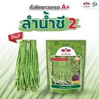 ราคา ใหม่!! เมล็ดถั่วฝักยาว ลำน้ำชี2 เมล็ดเคลือบ ตราศรแดง เมล็ดถั่วฝักยาว เมล็ดพันธุ์ถั่วฝักยาว เมล็ดพันธุ์ผัก (7058887218)