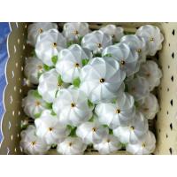 ราคา เหรียญโปรยทานดอกมะลิ เหรียญโปรยทานตัวเปล่า 50 ชิ้น (23573347563)