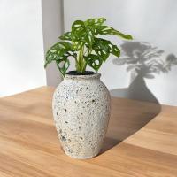 ราคา Vase แจกันดินเผาทรงไหจิ๋ว สีวินเทจ เก่า ๆ ขนาด 15 x 23 cm. (25252141037)