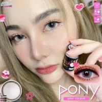 ราคา คอนแทคเลนส์ ( Pony ) Big ลายธรรมชาติ (27762666426)